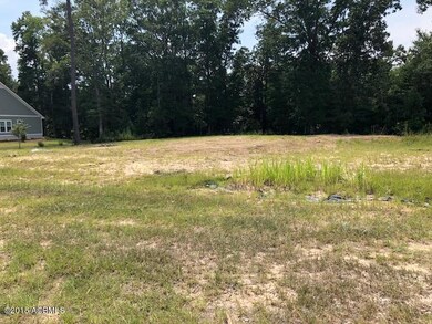 View center to left of wooded area