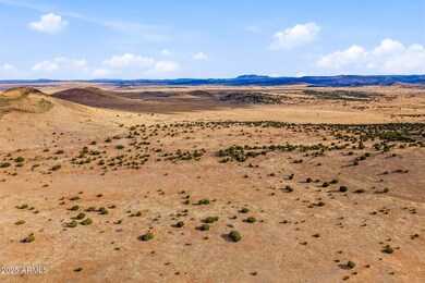 000 Tbd --, Greer, AZ 85927 - photo 4