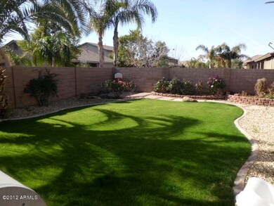 West back yard