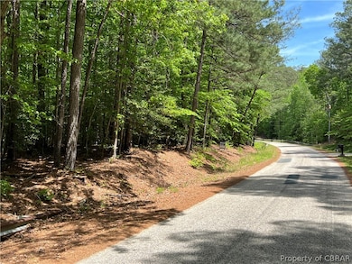 000 Scoggins Creek Trail, Hartfield, VA 23071 - photo 3