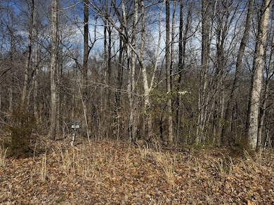 0 Dakota Ln unit RTC3058040, Smithville, TN 37166 - photo 3