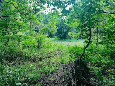 Tract #5 Holt Rd, Louisa, KY 41230 - photo 3