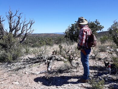 133 Off Arizona Rd, Ash Fork, AZ 86320 - photo 4