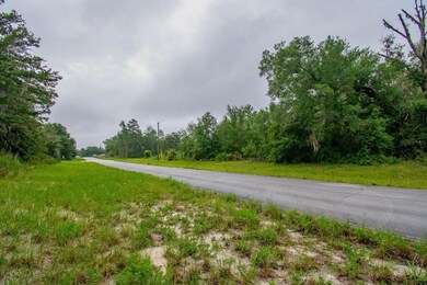 TBD SW 138th St, Ocala, FL 34473 - photo 5