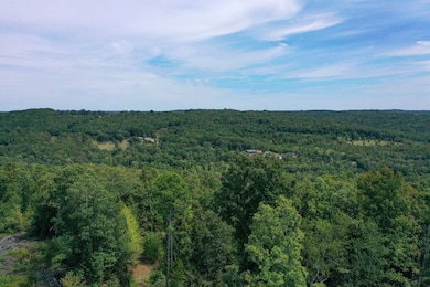 000 Highway 16 E, Clinton, AR 72031 - photo 2