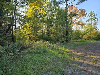 M2 L9-1 Solon Rd, Brighton Plantation, ME 04942 - photo 3