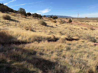 1714 N Foothill Dr, Paragonah, UT 84760 - photo 7