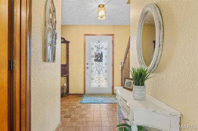 963 Long Branch Rd, Troy, IL 62294 - photo 6