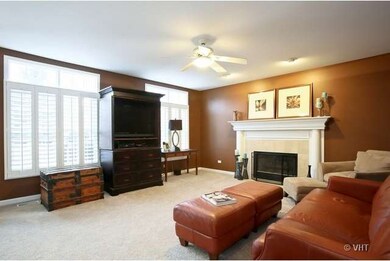 4831 Fesseneva Ln, Naperville, IL 60564 - photo 5