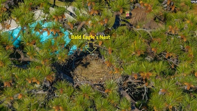 120 Magnolia Key Dr, Chapin, SC 29036 - photo 7