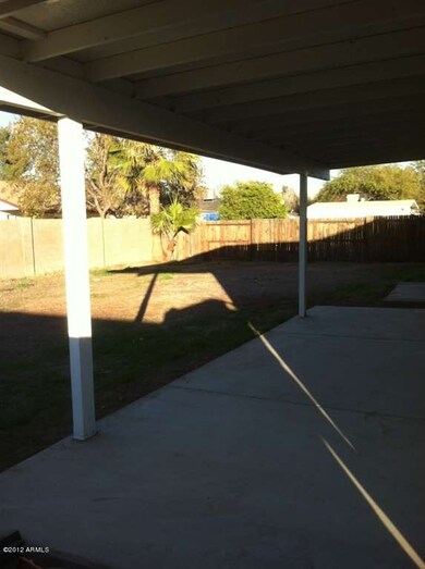 Big Backyard