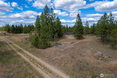 35410 Prairie Ln N unit Lot 4, Creston, WA 99117 - photo 4