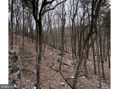 7055 Stump Rd unit 3, Pipersville, PA 18947 - photo 5