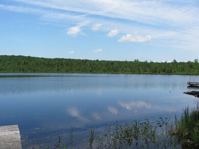 19-C-1 Little Mud Pond, Dingmans Ferry, PA 18328 - photo 4