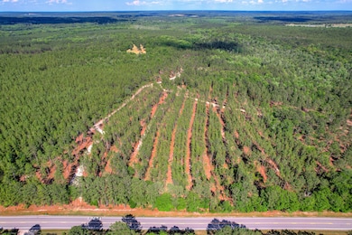 80 Acres Columbia Hwy N, Ridge Spring, SC 29129 - photo 2