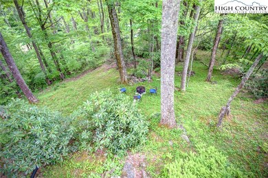 160 Bagpipe Way, Banner Elk, NC 28604 - photo 7