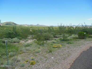 3-Property gate & dirt road across prope