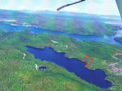 aerial 2