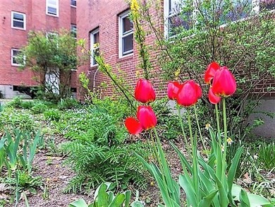 1 Dunning Way unit 121, Jamaica Plain, MA 02130 - photo 2