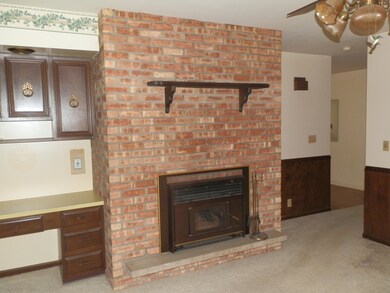 827 E Grant St, Hastings, MI 49058 - photo 6