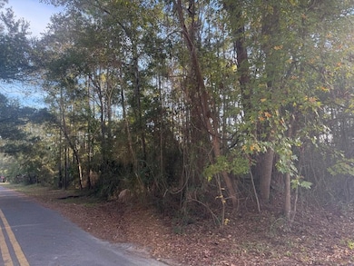 198 13th St, Apalachicola, FL 32320 - photo 2