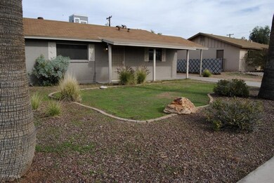 Front yard 4