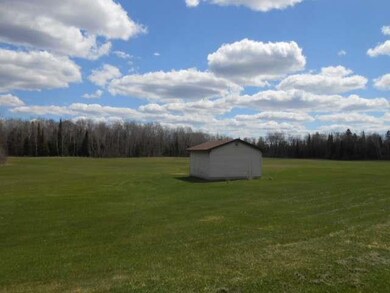 W10485 S Koepenick Rd, Deerbrook, WI 54424 - photo 4