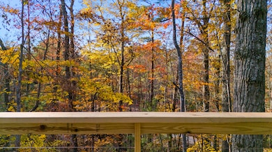 DJI_20251104155528_0052_D