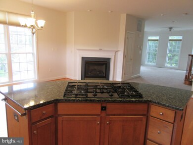 25821 Mews Terrace, Chantilly, VA 20152 - photo 7