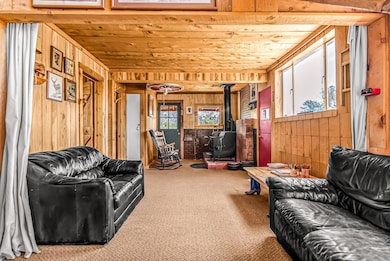 4220 Red Bluff Rd, Glade Park, CO 81523 - photo 3