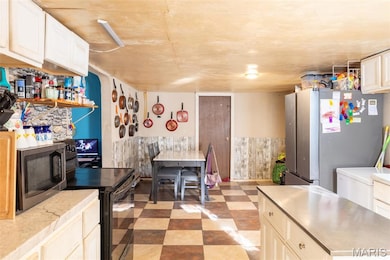 18281 S State Highway 21, Irondale, MO 63648 - photo 3