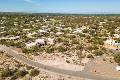 Aerial-2839 North Wentworth Road-5