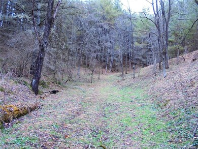 000 Hardscrabble Rd, Burnsville, NC 28714 - photo 7