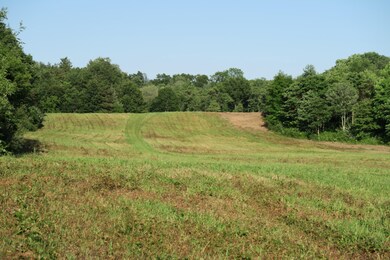 IMG_1564