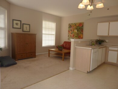 3100 Town Square Dr unit 105, Rolling Meadows, IL 60008 - photo 6