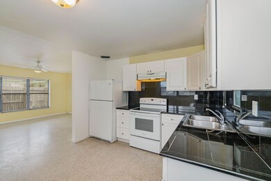 BAY1355 2