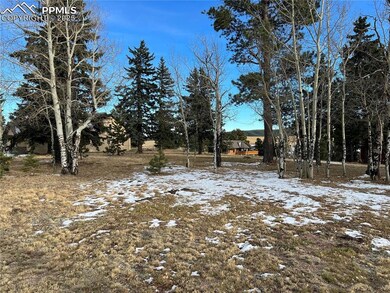 106 Stephanie Place, Divide, CO 80814 - photo 7