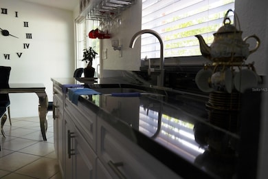 6813 Tuttle St, Tampa, FL 33634 - photo 5