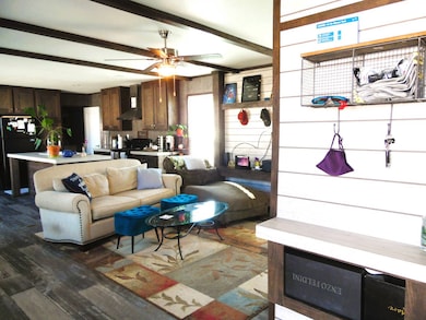 Entrance/Living Area