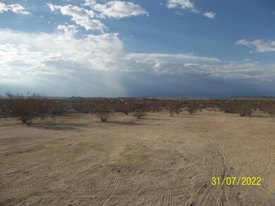 64806 Chollita Rd, Joshua Tree, CA 92252 - photo 6