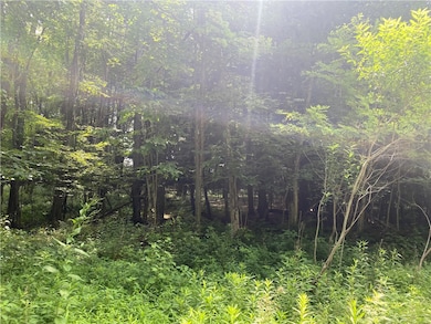 925 Haytown Rd, Grampian, PA 16838 - photo 7