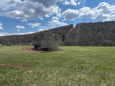 0 Houghtaling Hollow Rd unit 11452107, East Meredith, NY 13757 - photo 2