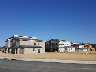 NEW HOME SUBDIVISION