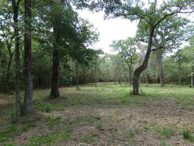 31375 Joseph Rd, Hockley, TX 77447 - photo 6