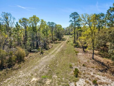TBD Parente Place, Keaton Beach, FL 32348 - photo 2