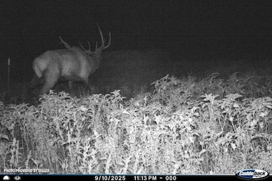 76 Surveyors Canyon Rd, Pinon, NM 88344 - photo 5