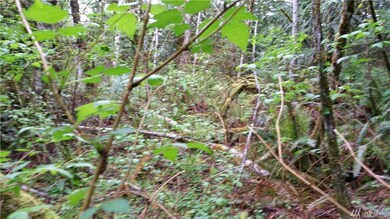 1 Zion View Ln, Quilcene, WA 98376 - photo 2