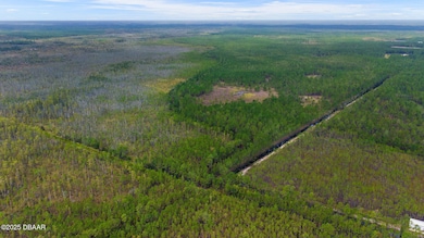 0 Durrance Ln, Ormond Beach, FL 32174 - photo 3