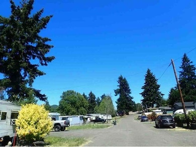 703 Main St, Yoncalla, OR 97499 - photo 2