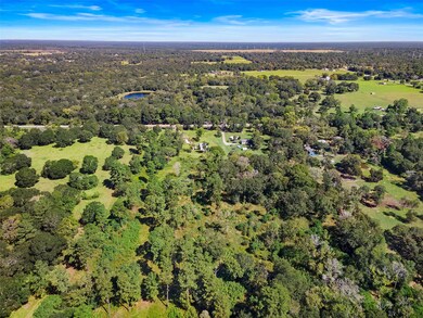 29847 Joseph Rd, Hockley, TX 77447 - photo 6